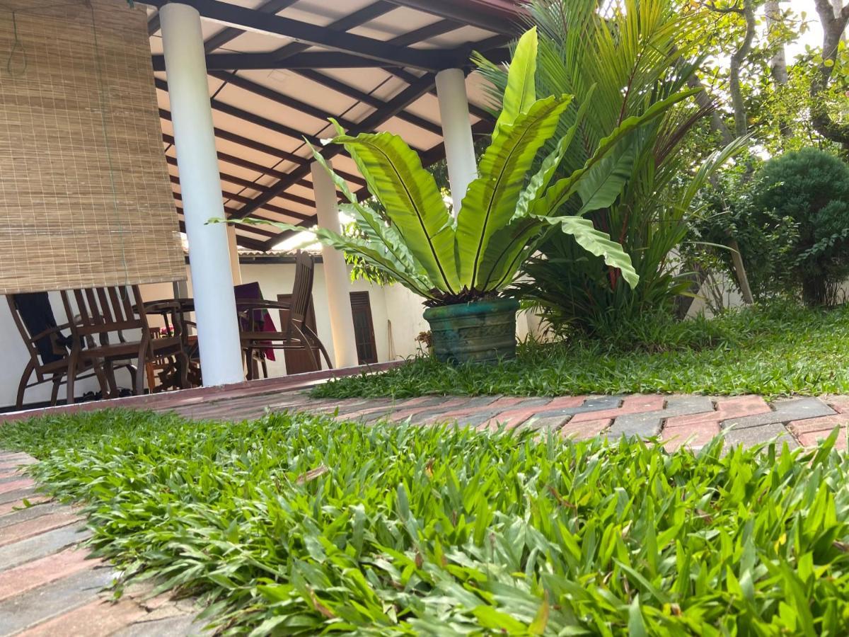 Mirissa Gold Rush Villa Dış mekan fotoğraf