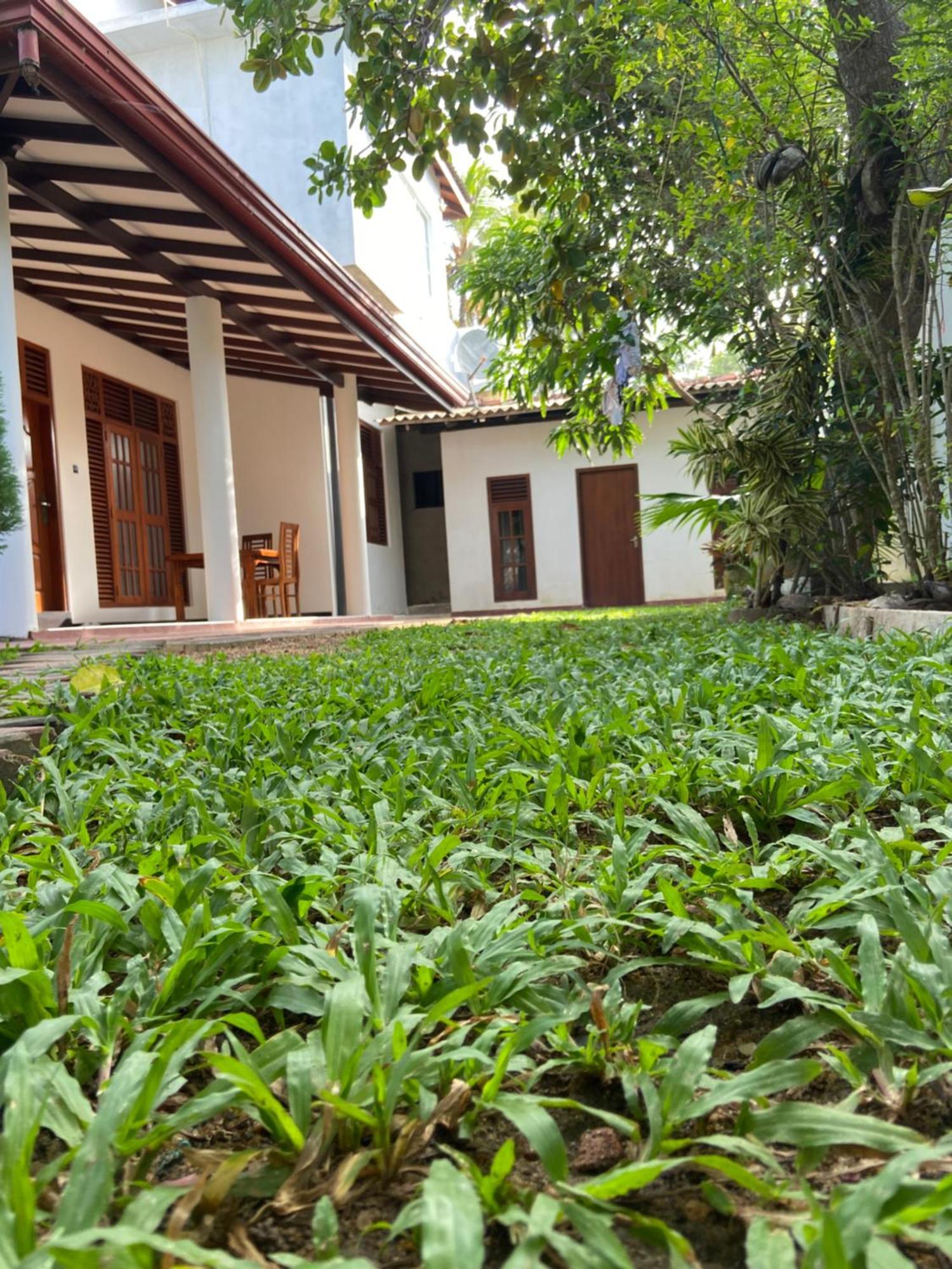 Mirissa Gold Rush Villa Dış mekan fotoğraf
